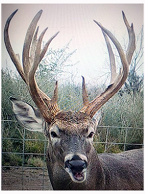 2021 Management photos